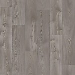 Фаворит Картер 1